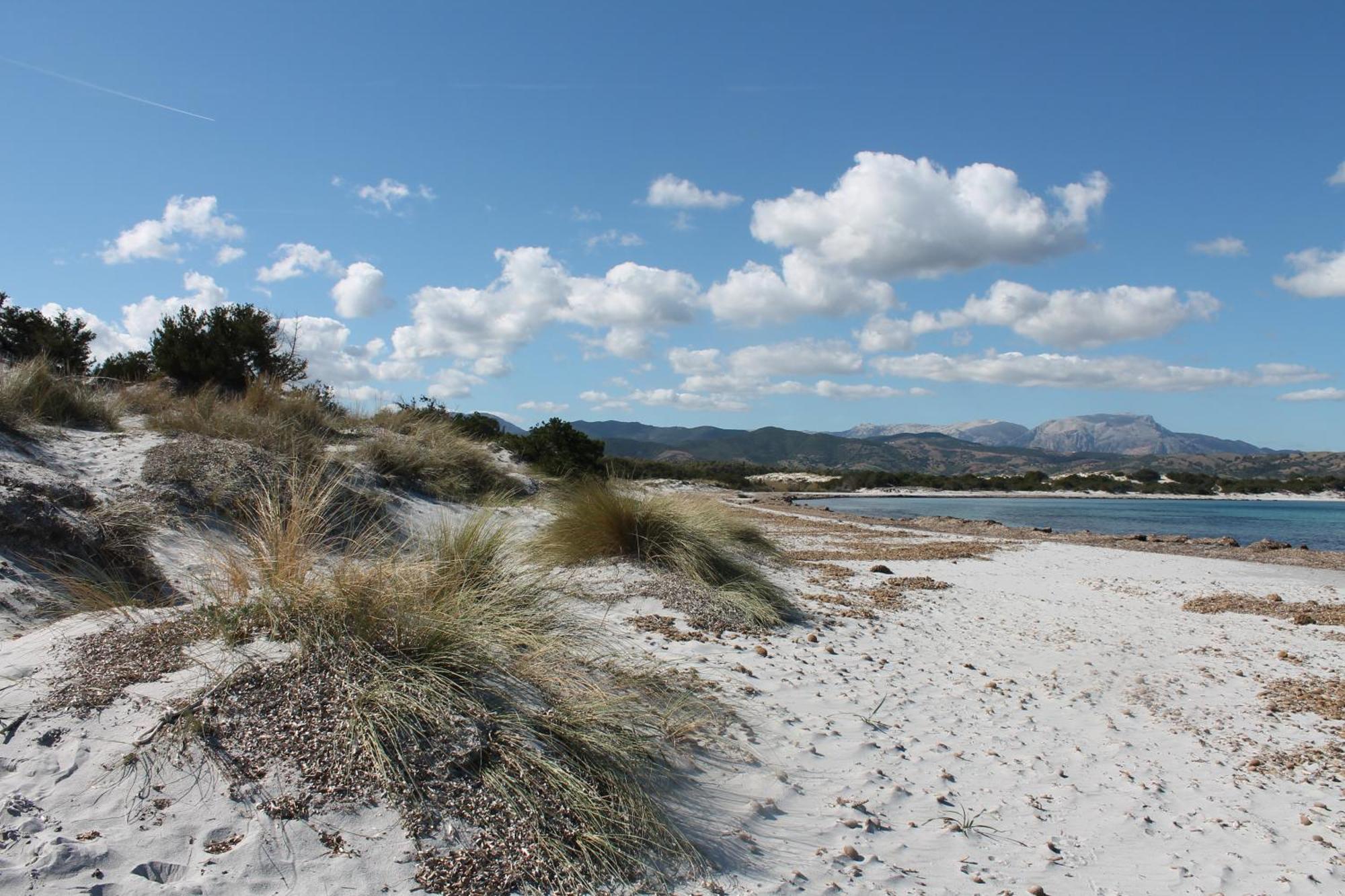 Villetta 1.2 Km Dalla Spiaggia Budoniaffitti 타나우넬라 외부 사진