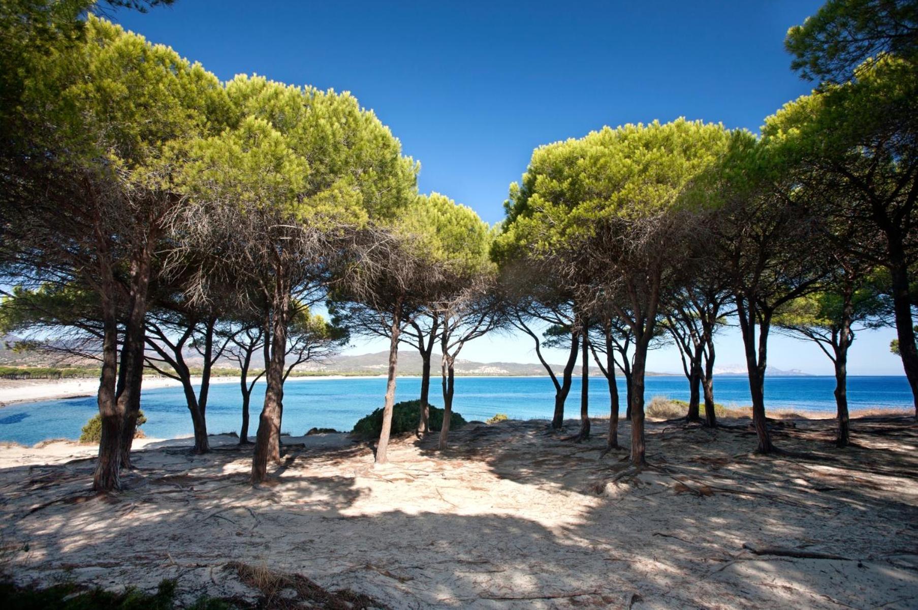 Villetta 1.2 Km Dalla Spiaggia Budoniaffitti 타나우넬라 외부 사진